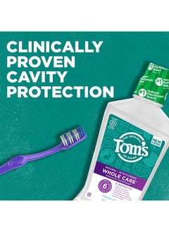 Tom's of Maine Tom's Of Maine Whole Care Natural Fluoride Mouthwash, Fresh Mint, 16 Oz (Pack of 3) (Packaging May Vary)  - Image 2