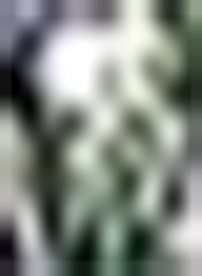 GGOOT 2 weiße Amaryllis Zwiebeln schöne große Indoor Blüte dramatische Blüten wachsen überall im Innenbereich geeignet für die Einrichtung von Häusern voller Duft - Image 1