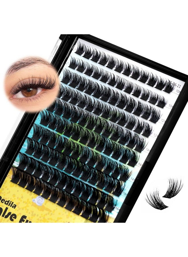 Dedila Large Pack Cluster Eyelash Extensions D Curl Wide Stem Mixed 10-12-14-16mm /12-14-16mm/14-16-18mm Individual False Eyelashes Dramatic Volume Eye Lashes Set (mixed 10-12-14-16mm) - Image 2