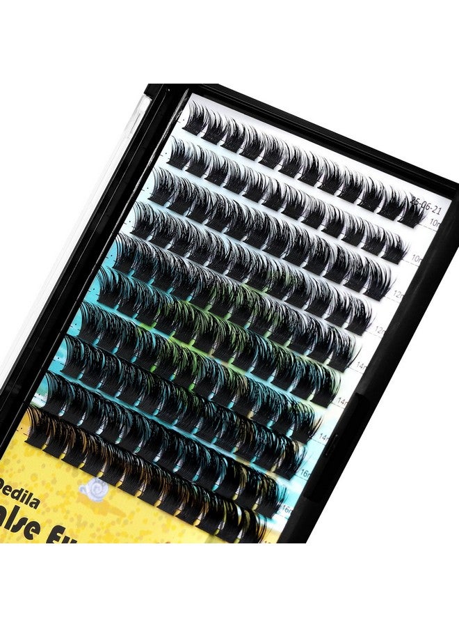 Dedila Large Pack Cluster Eyelash Extensions D Curl Wide Stem Mixed 10-12-14-16mm /12-14-16mm/14-16-18mm Individual False Eyelashes Dramatic Volume Eye Lashes Set (mixed 10-12-14-16mm) - Image 3