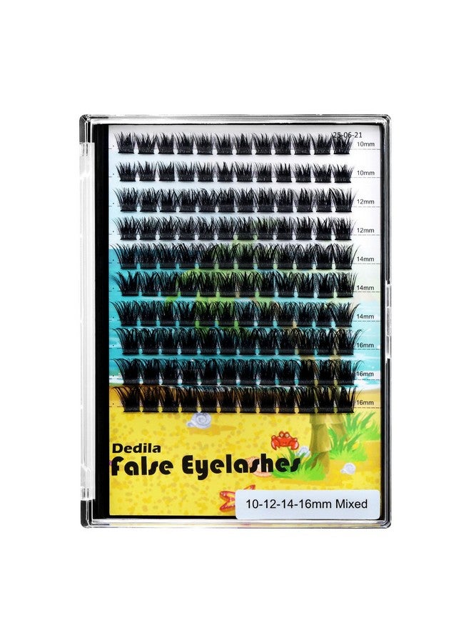 Dedila Large Pack Cluster Eyelash Extensions D Curl Wide Stem Mixed 10-12-14-16mm /12-14-16mm/14-16-18mm Individual False Eyelashes Dramatic Volume Eye Lashes Set (mixed 10-12-14-16mm) - Image 1