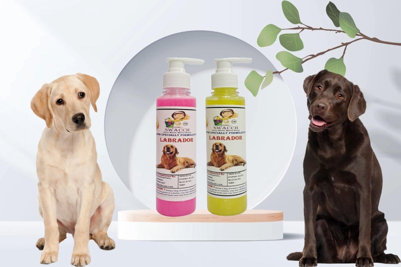 SWACCH Premium Shampoo for Labrador (200ML) (Combo Pack of 2) Rose & Lemon - Image 2