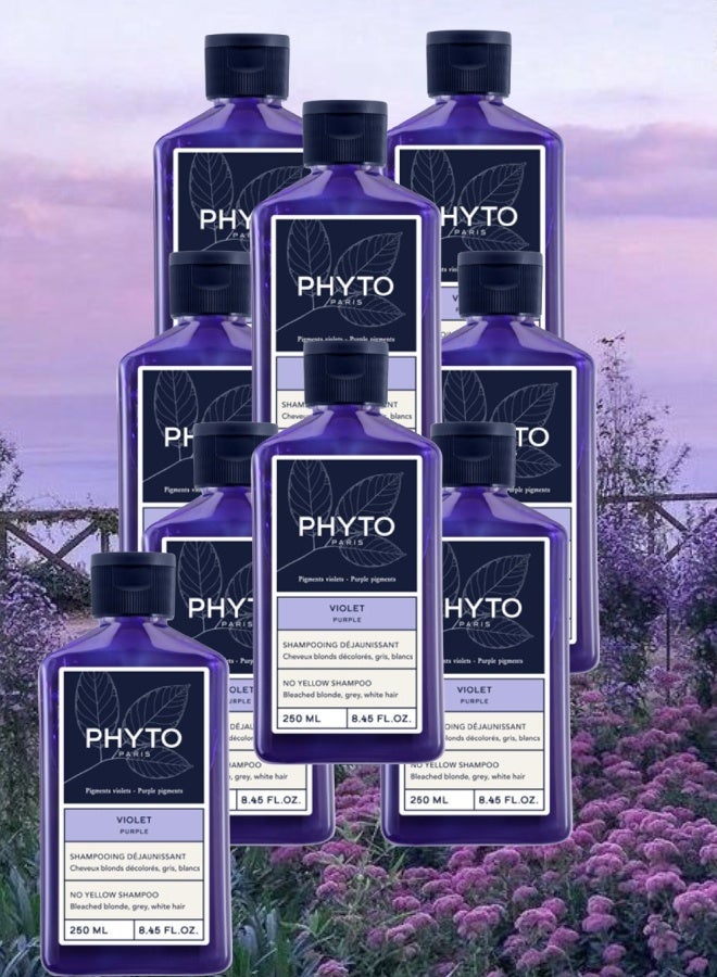 فيتو 9 قطع شامبو فيتو باريس البنفسجي بدون اصفرار 250مل - Image 1