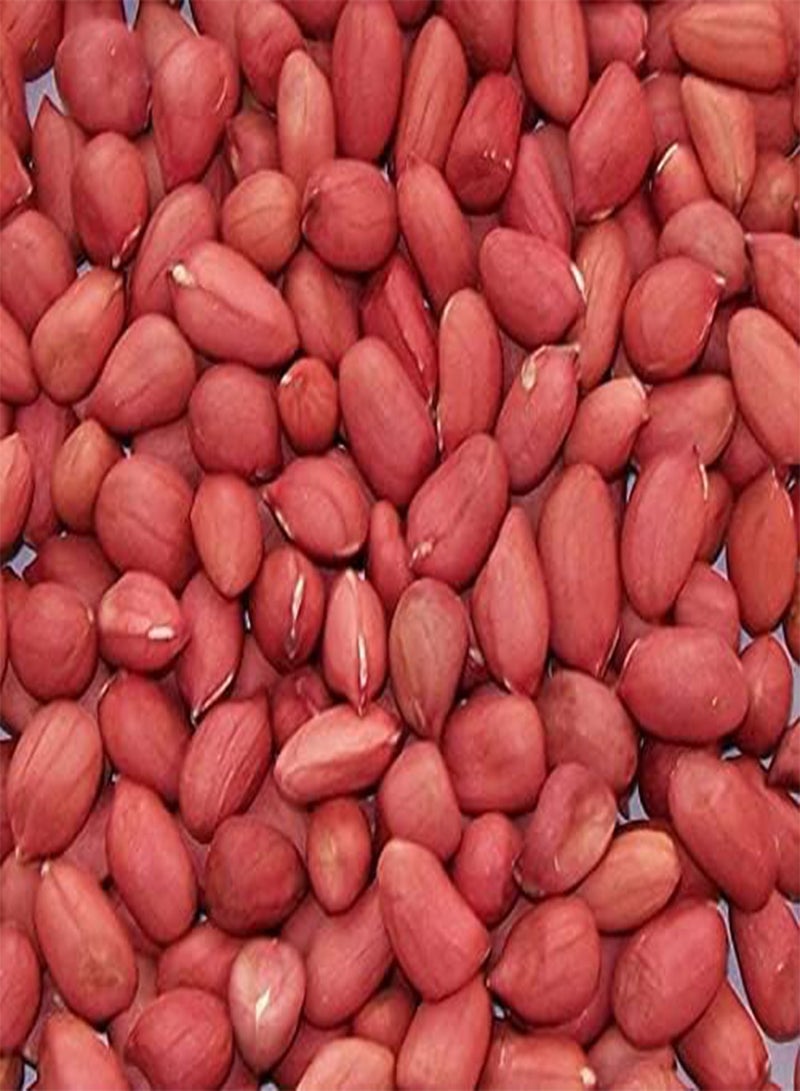 GGOOT Red Skin Peanuts Seeds, Groundnuts Monkey Nuts, Arachis Hypogaea, Vegetable Plants for Home Garden Planting Seeds by Heavy Torch, Pack of 20 Seeds - Image 2