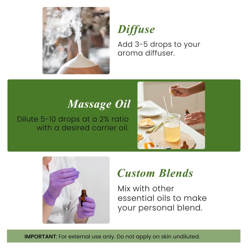 handcraft Blends زيت البرغموت العطري المصنوع يدويًا - 1 أونصة سائلة - 100% نقي وطبيعي - زيت عطري من الدرجة الممتازة للاستخدام في الناشر والعلاج بالروائح، البشرة، التدليك، صناعة الشموع والصابون - Image 5