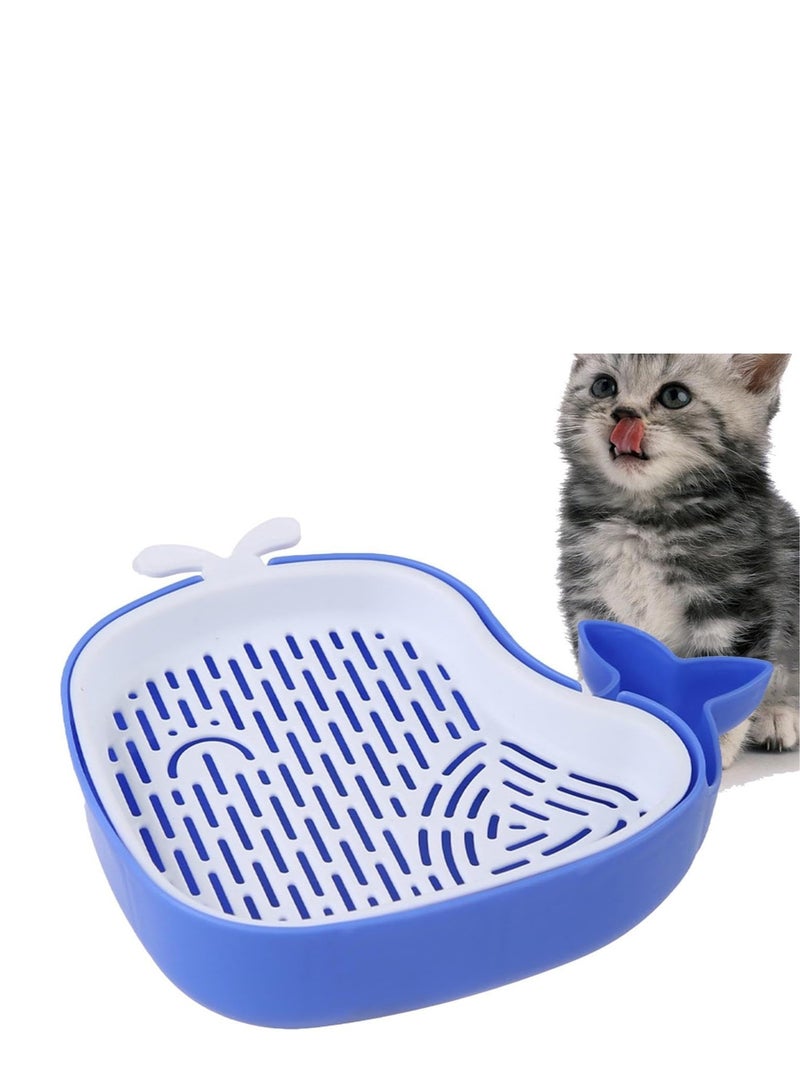 Cat Grass Pot, Layered Design Cat Graft Pot in Whale Shape, Soillness Planter for Hydroponics Cat Grass