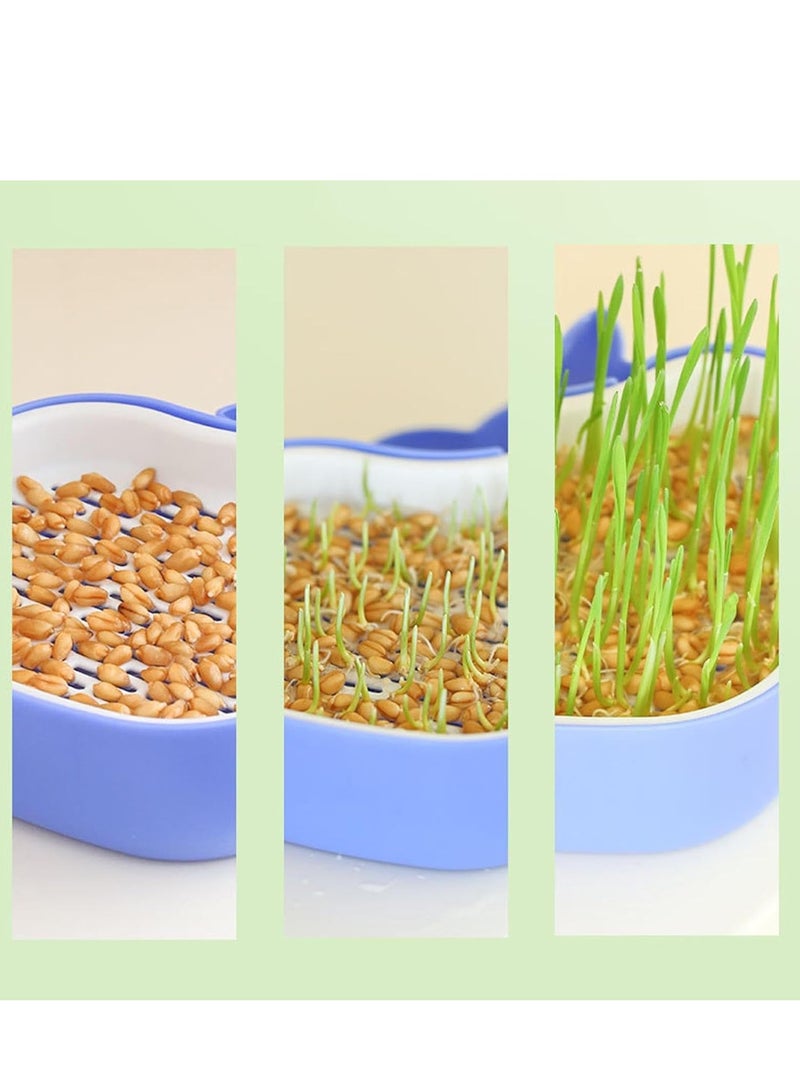 Cat Grass Pot, Layered Design Cat Graft Pot in Whale Shape, Soillness Planter for Hydroponics Cat Grass
