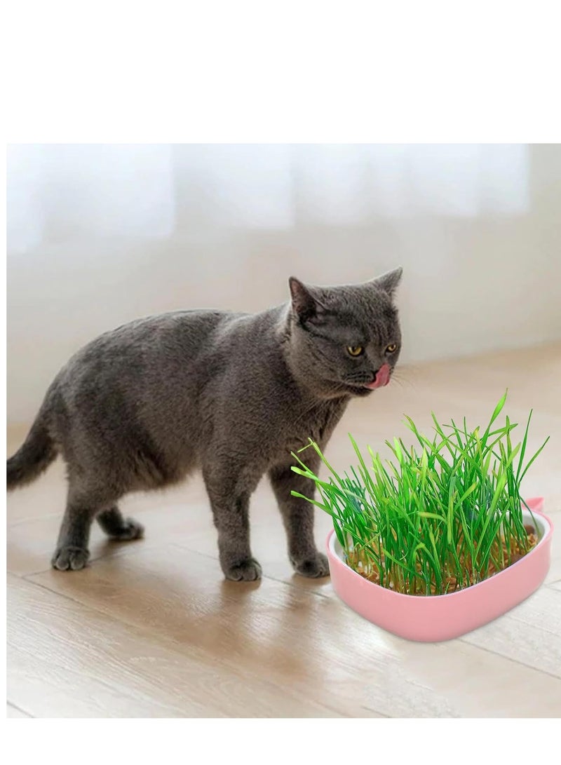 Cat Grass Pot, Layered Design Cat Graft Pot in Whale Shape, Soillness Planter for Hydroponics Cat Grass