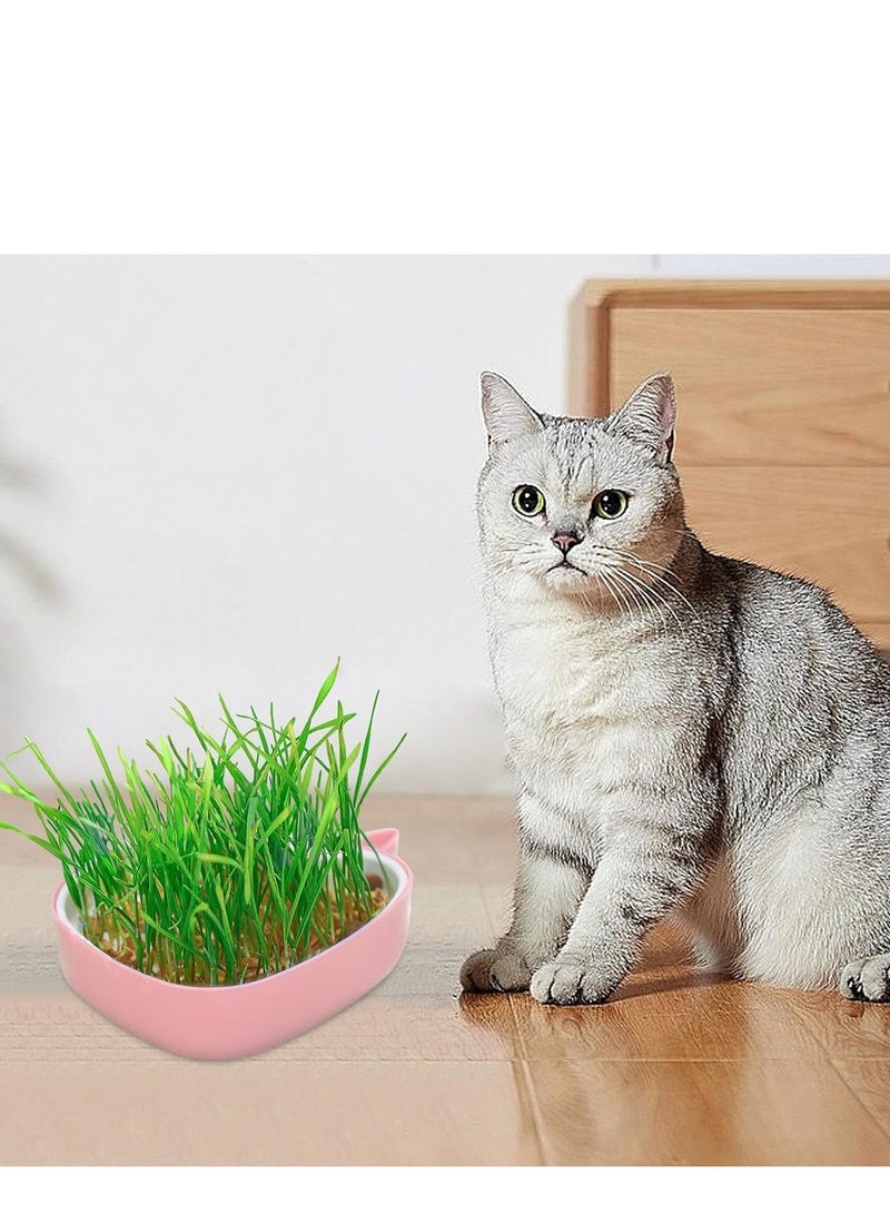 Cat Grass Pot, Layered Design Cat Graft Pot in Whale Shape, Soillness Planter for Hydroponics Cat Grass