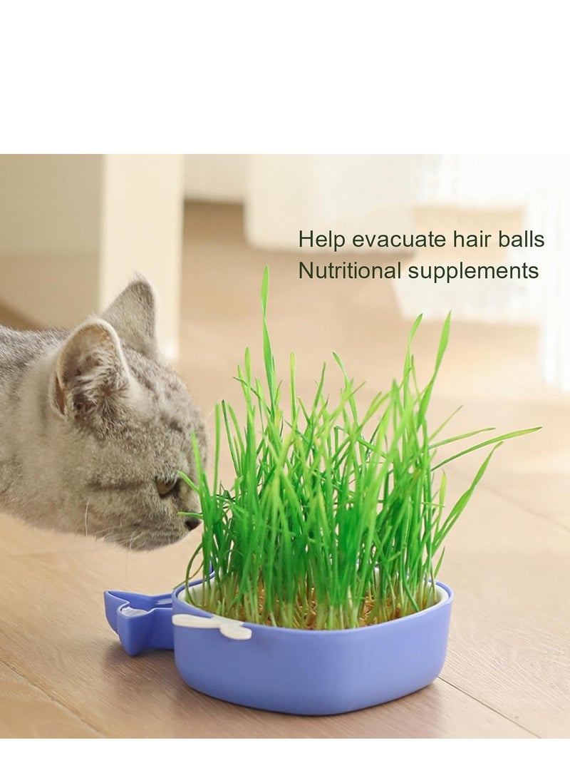 Cat Grass Pot, Layered Design Cat Graft Pot in Whale Shape, Soillness Planter for Hydroponics Cat Grass