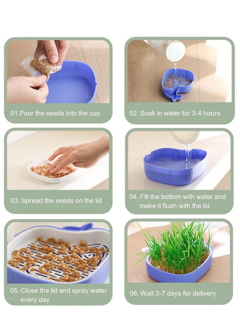 Cat Grass Pot, Layered Design Cat Graft Pot in Whale Shape, Soillness Planter for Hydroponics Cat Grass
