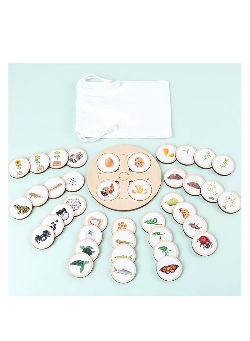 KASTWAVE طقم دورة الحياة ، ألعاب تماثيل واقعية ، مجموعة مطابقة حيوانات للأطفال مع ضفدع ، وخنفساء ، والمزيد - تشمل 10 قطع من الحيوانات ، ألعاب تعليمية مونتيسوري DIY ، تعليم المدرسة (ملصقات ذاتية اللصق) - Image 2