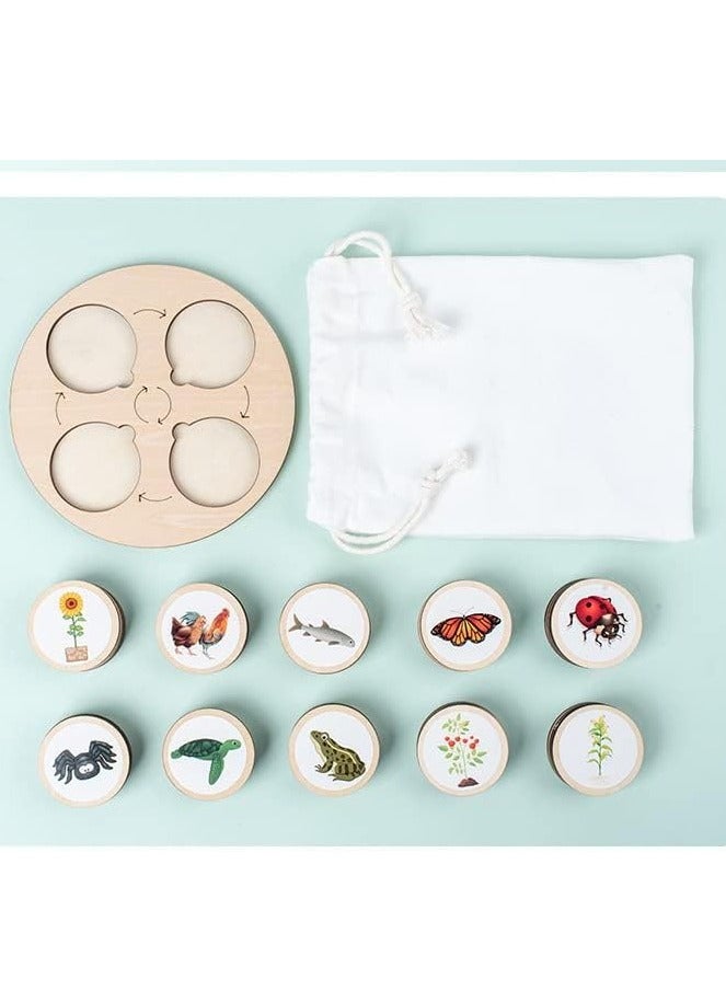 KASTWAVE طقم دورة الحياة ، ألعاب تماثيل واقعية ، مجموعة مطابقة حيوانات للأطفال مع ضفدع ، وخنفساء ، والمزيد - تشمل 10 قطع من الحيوانات ، ألعاب تعليمية مونتيسوري DIY ، تعليم المدرسة (ملصقات ذاتية اللصق) - Image 3