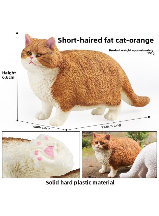 Children's Simulation Short-haired Fat Cat Model Cognitive Cat Accessories Domestic Cat Birthday Gift English Short Tabby Doll Ornaments-Color:M-2818 Short-haired Fat Cat (orange)  - Image 1