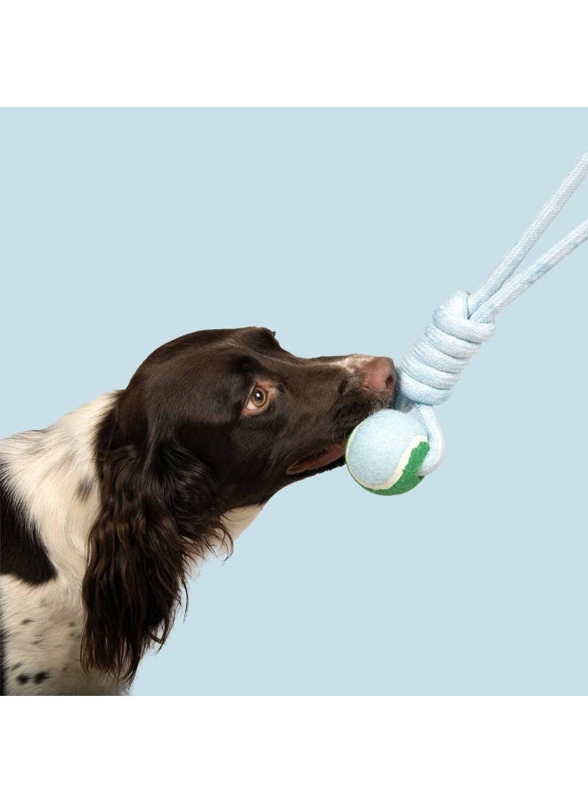 Ebi Coockoo Catch Me Ball With Rope Loop Dog Fetch Toy - Blue/6x45x6cm - Image 3