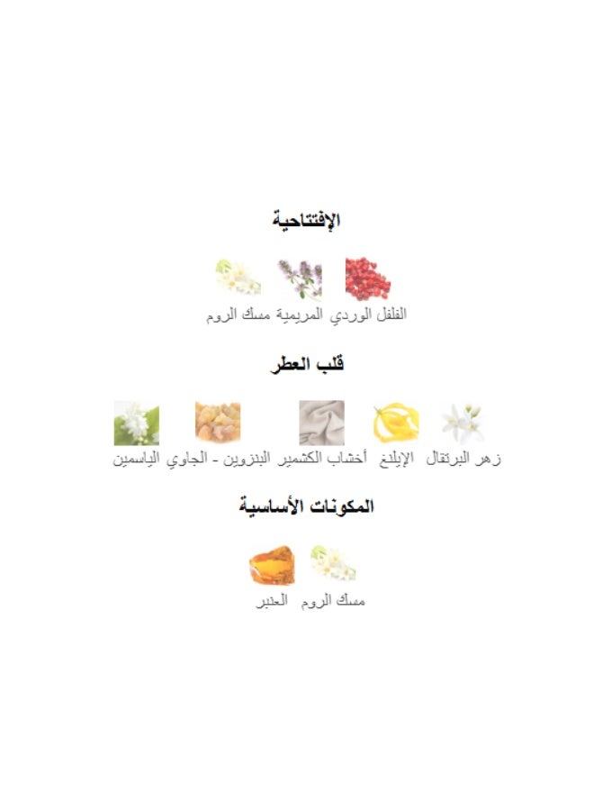 امبر عطر لوكس روج للجنسين 100 مل - Image 5