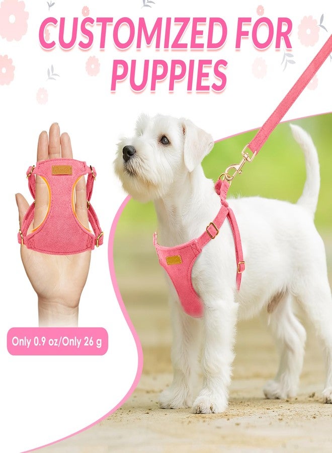 Lukovee No Pull Small Dog Harness with Leash - Lightweight Soft Puppy Vest Harnesses, Adjustable Pet Harnesses for Puppy Small Dogs (Pink, S) - Image 2