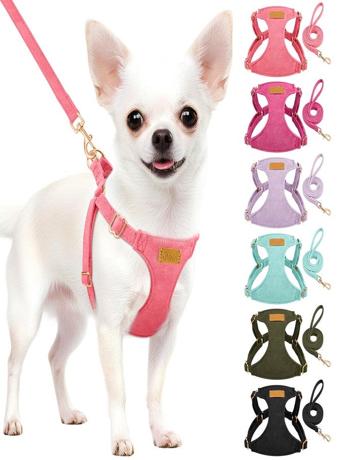 Lukovee No Pull Small Dog Harness with Leash - Lightweight Soft Puppy Vest Harnesses, Adjustable Pet Harnesses for Puppy Small Dogs (Pink, S) - Image 1