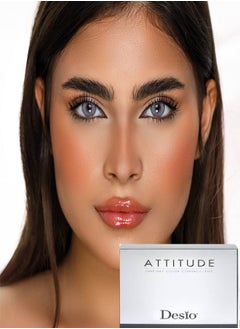 Attitude One Day Colored Contact Lenses Rebel Grey - pzsku/Z740485C3E90D4222697CZ/45/_/1739295827/7ef33459-c7c1-4643-817d-d93cbb05aa7f