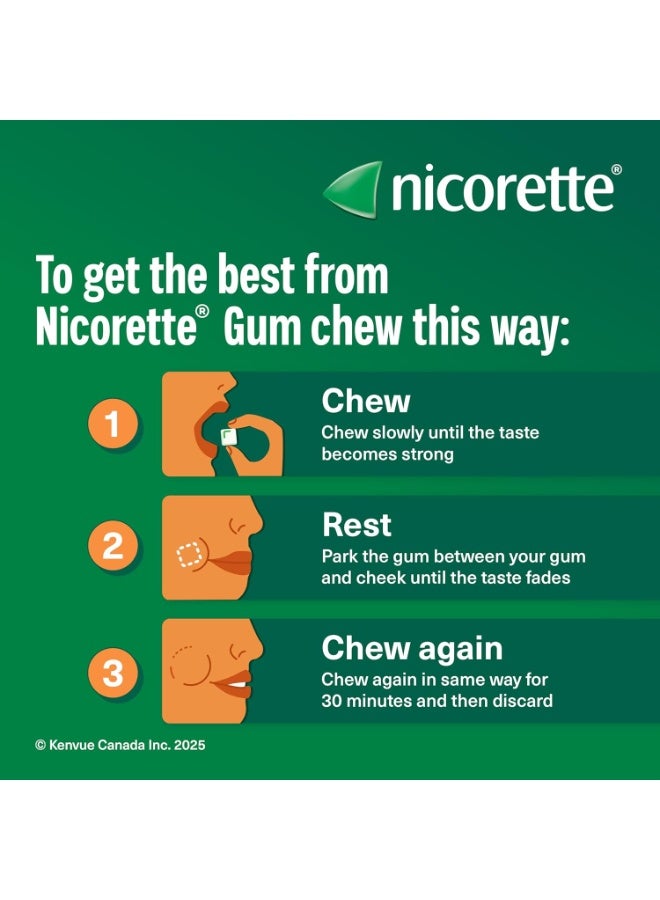 Nicorette Gum, Nicotine 4 Mg, Spearmint Flavour, Quit Smoking Aid And Smoking Cessation Aid, 105 Count - Image 3
