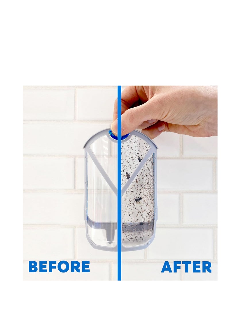 Zevo 2 Flying Insect Traps & 2 Refill Cartridges - Plug in Fly Trap & Indoor Bug Catcher for Gnats, House & Fruit Flies - Blue & UV Light Technology, Mess-Free Alternative to Bug Zapper - Image 1