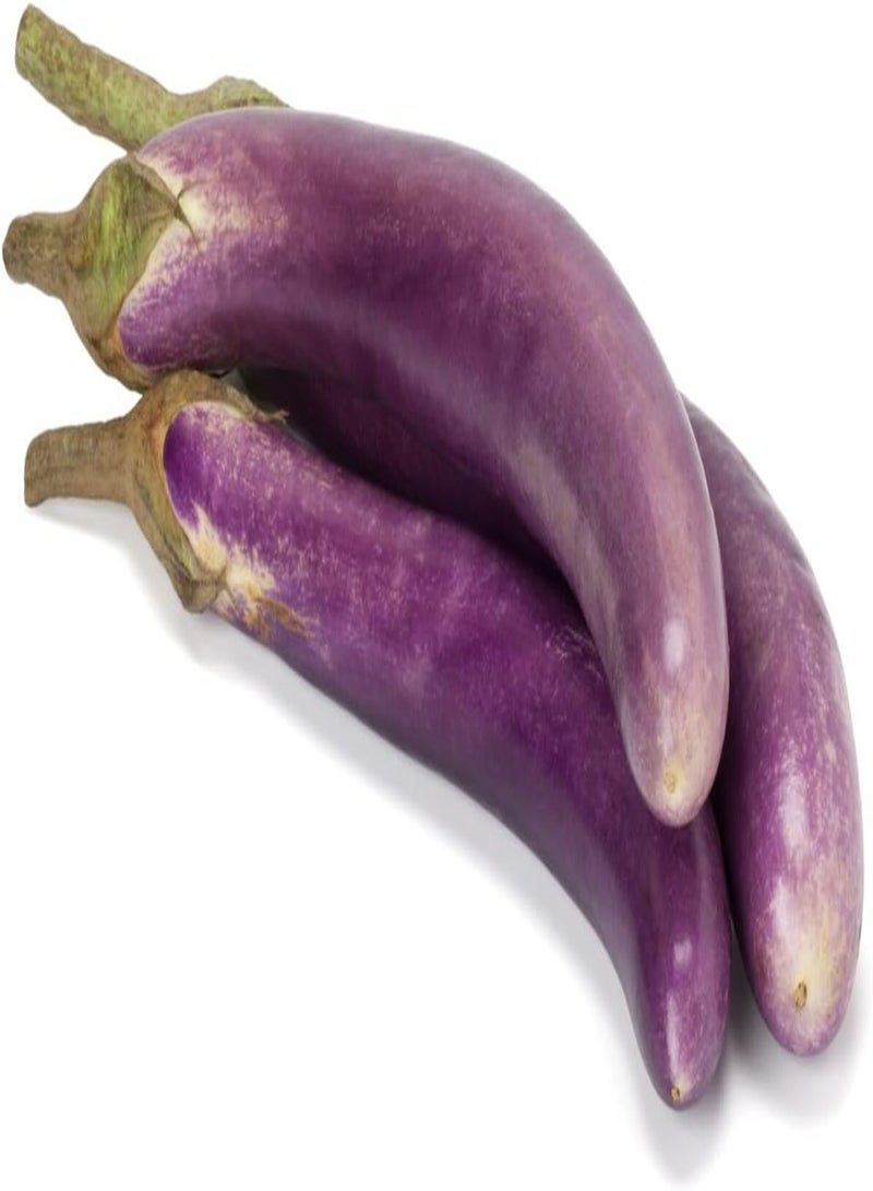 جي جوت - باذنجان، بنفسجي طويل - 75 بذرة نباتية - Image 1