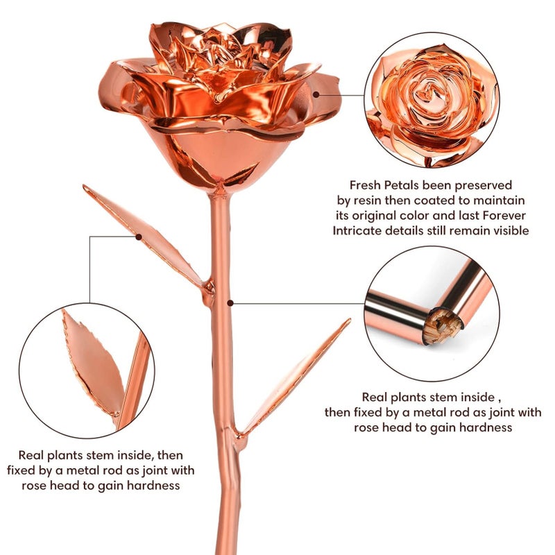 Anthonic Gold Dipped Infinity Rose Last Forever Flower Decor, Birthday Gift for Women in Her Birthday Valentines Day Mothers Day, Resin Preserved Rose | Anniversary Present for Mom (Rose Gold) - Image 2