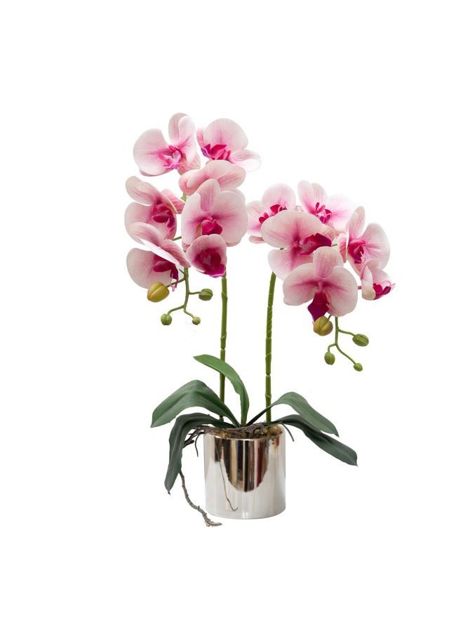 CXGS Artificial Orchid Flowers Light Pink Faux Orchids with Ceramic Vase Vivid Fake Phalaenopsis Flower Arrangement Gorgeous Artificial Plants for Wedding Party Exhibition Center Home Decor - Image 1