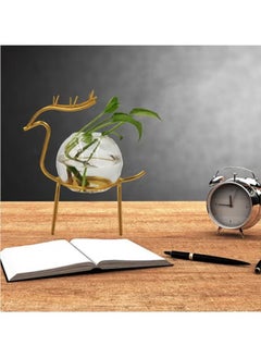 ماركة غير محددة Air Plant Terrarium with Metal Stand for Desktop - Glass Vase for Indoor Hydroponics, Ideal for Home Garden and Office Decor  - Image 4
