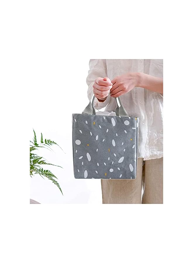 Zaboon حقيبة غداء قابلة لإعادة الاستخدام معزولة للنساء والطلاب للسفر والنزهات وعلبة غداء المدرسة 5 لتر رمادي - Image 4