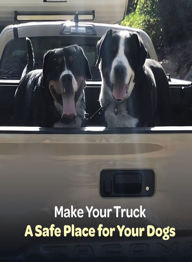 Labra Dog Heavy Duty Leash System for Truck Bed - Adjustable Dog Tether with Tie Down for Pickup Trucks - Secure Restraint - with Safety Lock for Car Travel - Double Teather - Image 4