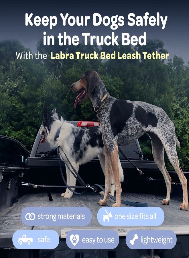Labra Dog Heavy Duty Leash System for Truck Bed - Adjustable Dog Tether with Tie Down for Pickup Trucks - Secure Restraint - with Safety Lock for Car Travel - Double Teather - Image 2