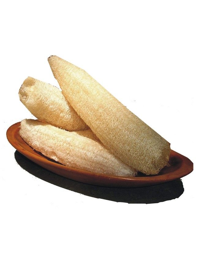 jeoga Loofah (3 Pcs) 100% Natural Ridge Gourd Fiber Big Size 6" To 7" Inch Long You Can Cut It As Per Your Requirement Natural Color - Image 1