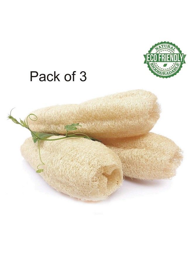 jeoga Loofah (3 Pcs) 100% Natural Ridge Gourd Fiber Big Size 6" To 7" Inch Long You Can Cut It As Per Your Requirement Natural Color - Image 5
