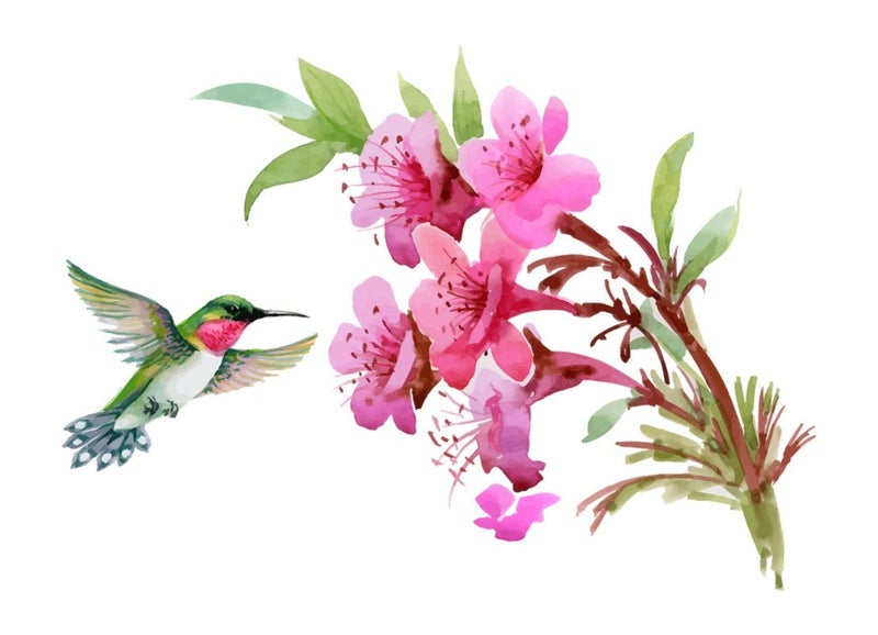 DivineDesigns Divine Designs™ PVC Vinyl Self-Adhesive Floral Bird Wall Sticker for Living Room, Bedroom, Office Wall Decoration (25 X 18 INCH) Pack 1 - Image 1