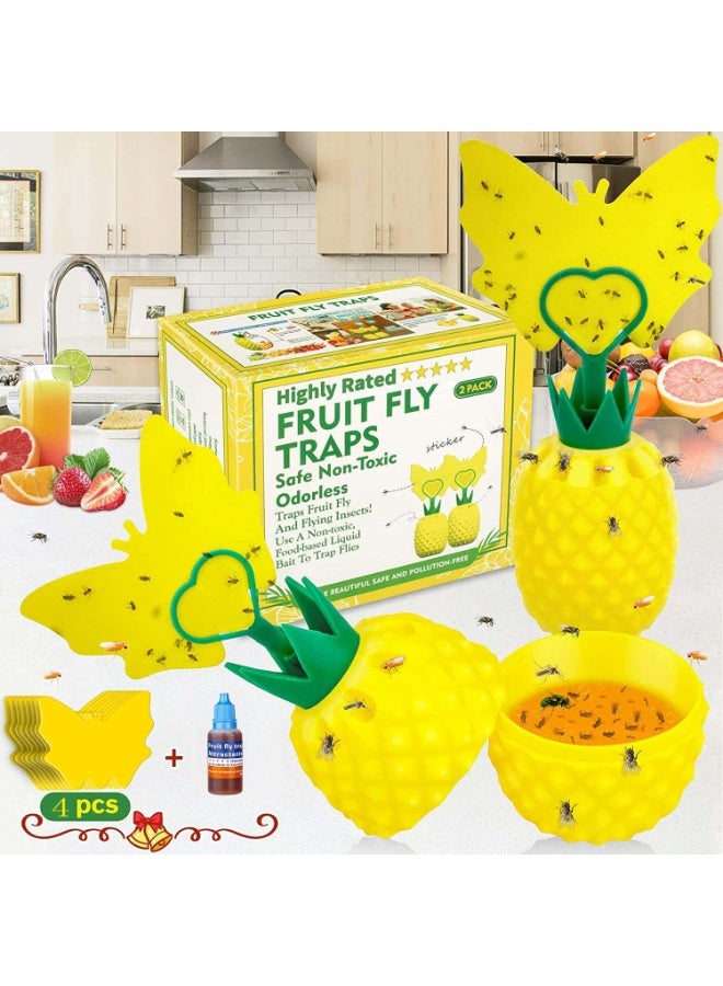 KOWVOWZ Fruit Fly Trap for Indoors, Gnat Trap Gnat Killer Fly Catcher with Yellow Sticker, Sticky Double-Sided Fruit Fly Traps, Non-Toxic Reusable Fly Trap Comes with Bait for Kitchen/Plant (2 Pack) - Image 1