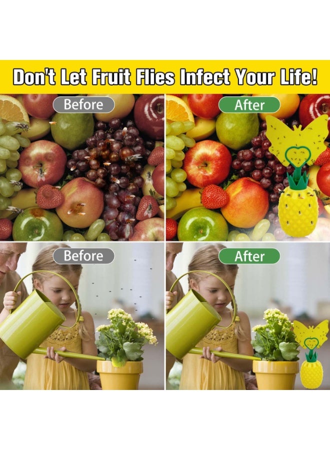 KOWVOWZ Fruit Fly Trap for Indoors, Gnat Trap Gnat Killer Fly Catcher with Yellow Sticker, Sticky Double-Sided Fruit Fly Traps, Non-Toxic Reusable Fly Trap Comes with Bait for Kitchen/Plant (2 Pack) - Image 5