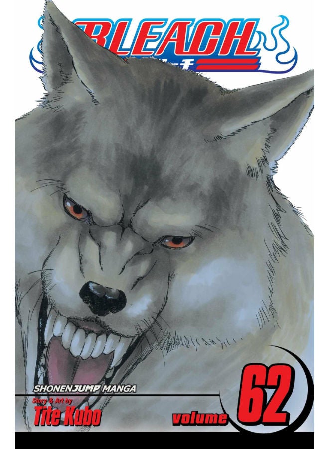 Bleach 62