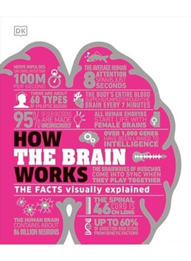 How the Brain Works: The Facts Visually Explained