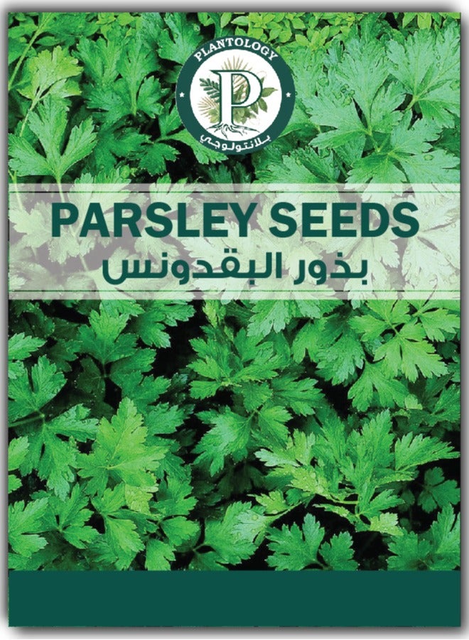 Generic Parsley Plants Seeds for Planting - Organic Parsley Premium Quality Seeds - Seeds Hybrid,Organic Non GMO Vegetable Seeds for Home and Garden Potted Plants,Easy to Plant - Image 1