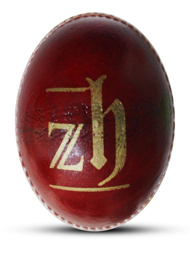 Zhoosh ™ Test Red Genuine Leather Ball (Type-4Part, Pack of 6) - Image 2