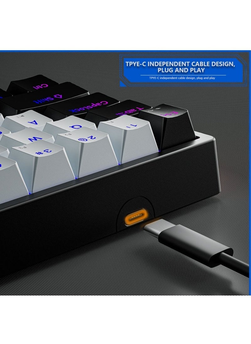 DARK ALIEN - Mechanical Keyboard 71 Keys RGB Backlight Detachable Type-C Wired 70% Gaming Keyboard Black/White - Blue Switch - Image 1