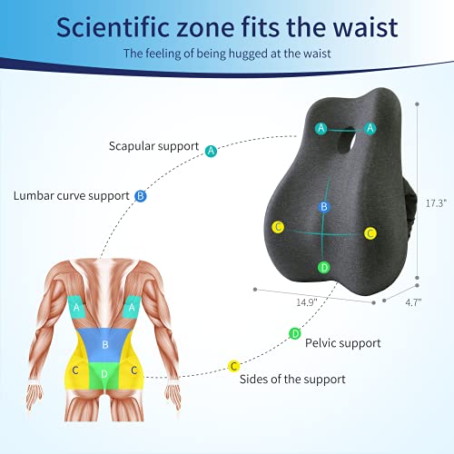 Max&Love Lumbar Support Pillow Cover Ergonomic Design Orthopedic Backrest for Back Pain Relief Memory Foam Back Support for Office Chair Computer Chair Car Seat Recliner and Couch (Dark Gray) - Image 3