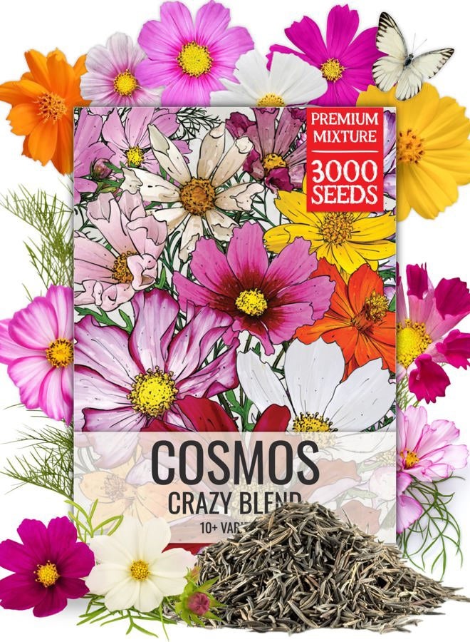 Seed Needs Flower Seeds Cosmos Crazy Blend No Filler 10+ Varieties | Cosmo Bipinnatus Open Pollinated Untreated Resealable Packaging Keeps Fresh Bulk Flowering Mix - Image 1