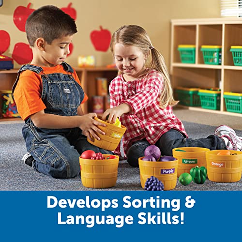 Learning Resources Farmer's Market Color Sorting Set - Play Food for Kids, Toddler Learning Toys, Grocery and Kitchen Play Toys - Image 4
