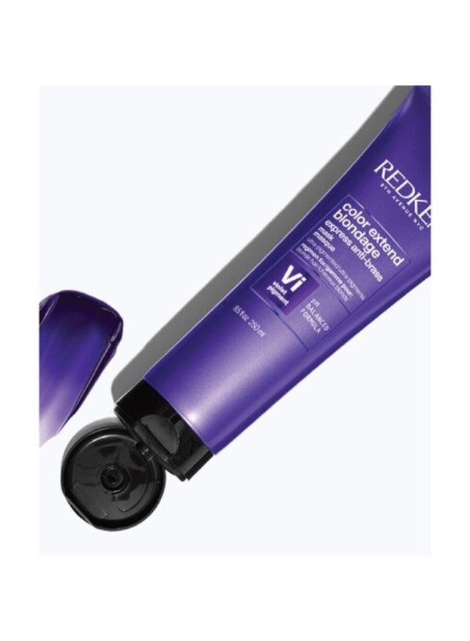 Redken Color Extend Blondage Express Anti-Brass Mask 300ml - Image 3