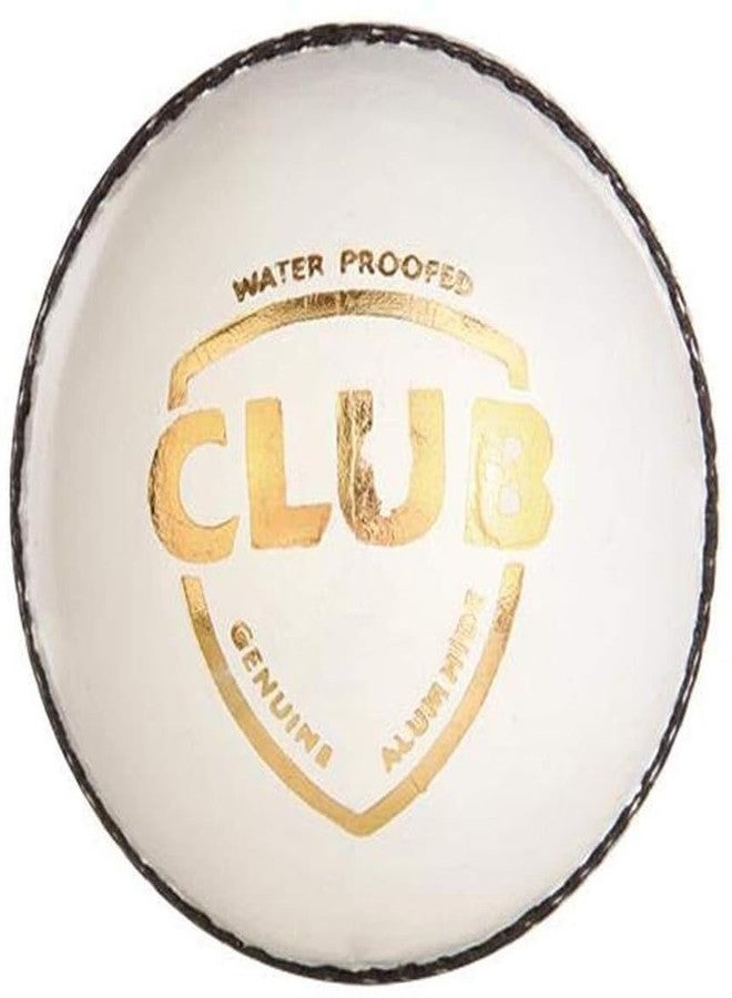 LABH TRADERS White Practice Cricket Leather Ball - Image 1