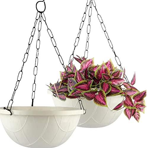 Tim Tim Agro Hanging Planters Basket Outdoor Indoor(10 In 2 Pack)- For Plants Outdoor,Metal Wire Baskets Window Box Planters, Hanging Flower Pots For Railings (White) - Image 1