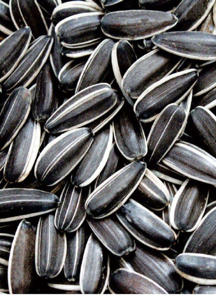 Generic 100% natural pure Sunflower Seeds-250 g  - Image 2