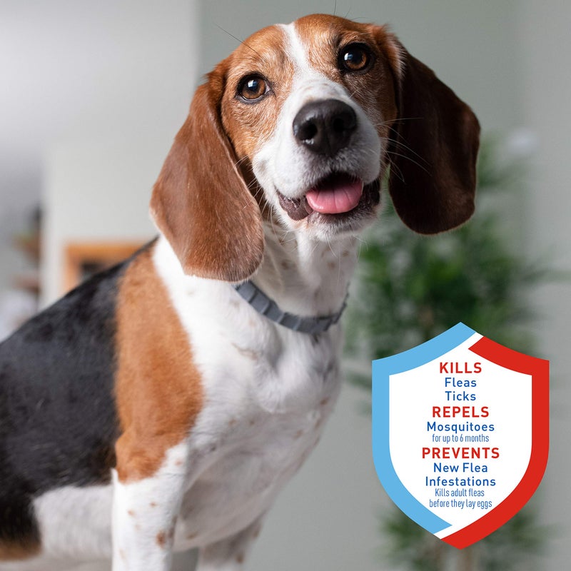 ADAMS Flea & Tick Collar Plus for Dogs & Puppies, 6-Month Protection, One Size Fits All Dogs & Puppies, Kills Fleas & Ticks, Repels Mosquitoes For Up To 6 Months (Excluding California) - Image 2